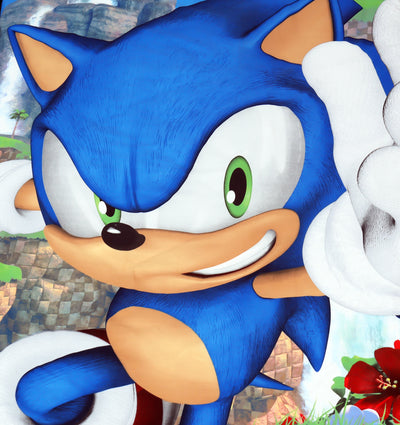Cartoon Character Bed Sheet - Sonic Grows