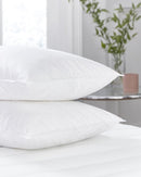 FILLED PILLOWS - PACK OF 2